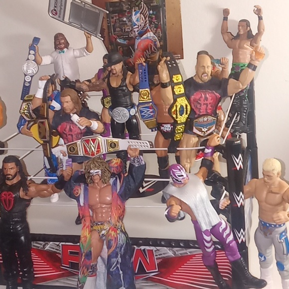 Wrestlers in wrestling ring - Picture 3 of 7